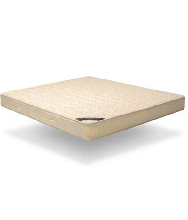 مرتبة جامبو - Jambo