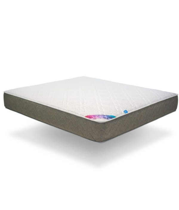 مرتبة سبيشال جامبو - Special Jumbo