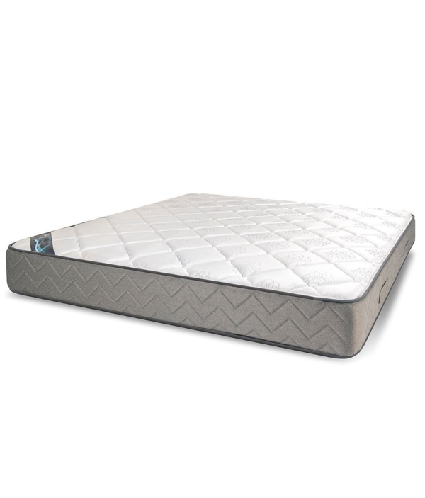 مرتبة سبيشال بلس  - Special Plus